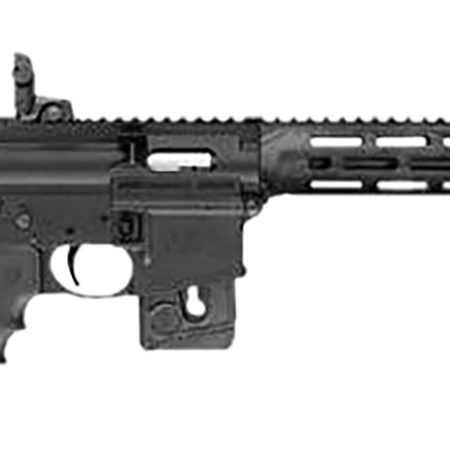 Smith & Wesson 10206 M&P15-22 Sport *CA,CO,MD Compliant 22 LR Caliber with 10+1 Capacity, 16.50" Barrel, Matte Black Metal Finish & 6 Position CAR Black Synthetic Stock Right Hand