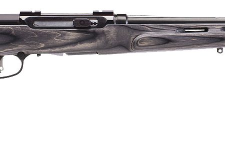 Savage Arms 47215 A Series Target Full Size 22LR 10+1 22" High Luster Heavy Target Barrel, High Luster Drilled & Tapped Carbon Steel Receiver, Gray Thumbhole Laminate Stock, Right Hand