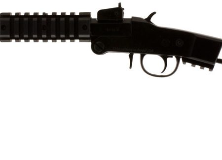 Chiappa Firearms 500145 Little Badger  17 HMR 1rd, 16.50" Blued Steel Threaded Barrel/ Black Underfolding Stock, Right Hand