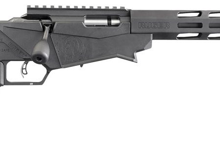 Ruger 8401 Precision Rimfire  22 LR 10+1 18" Threaded 1137 Alloy Steel Barrel, Hard Coat Anodized Finish, Adjustable Quick-Fit Precision Stock, 30 MOA Picatinny Rail, Optics Ready