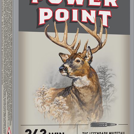Winchester Ammo X2432 Power-Point  243Win 100gr 20 Per Box/10 Case
