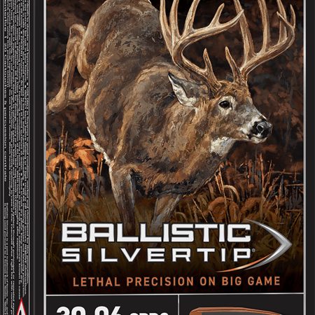 Winchester Ammo SBST3006 Ballistic Silvertip  30-06Springfield 150gr Rapid Controlled Expansion Polymer Tip 20 Per Box/10 Case
