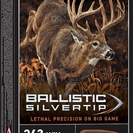 Winchester Ammo SBST243 Ballistic Silvertip  243Win 55gr Fragmenting Polymer Tip 20 Per Box/10 Case